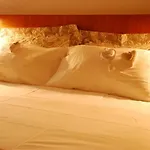 Del Prione Guest house