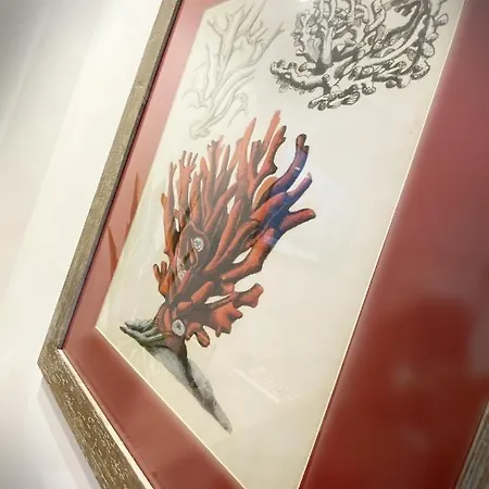 阿菲塔卡米尔德尔普里昂旅馆