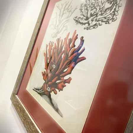 Del Prione לה ספציה