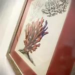 Del Prione